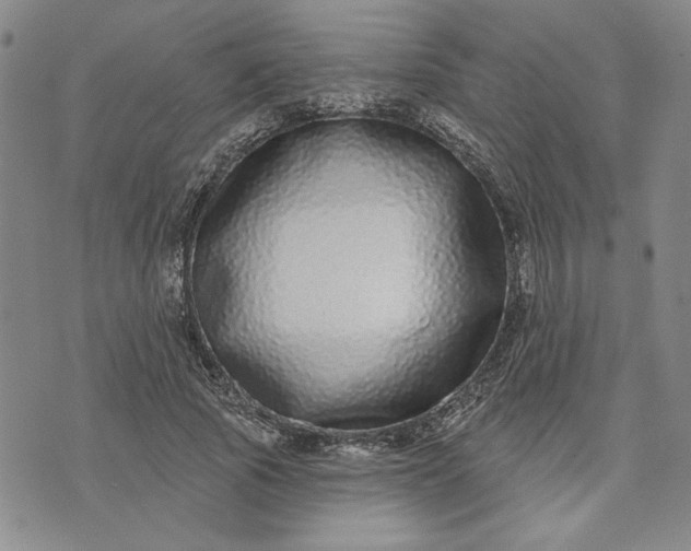 X0000071820737200607141635