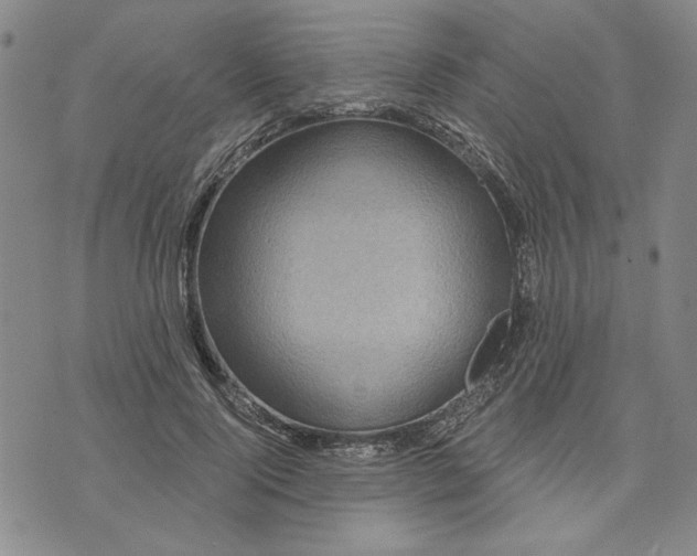 X0000071820740200607141635