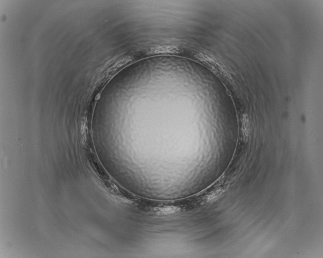 X0000071820741200607141635