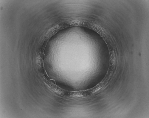 X0000071820749200607141635