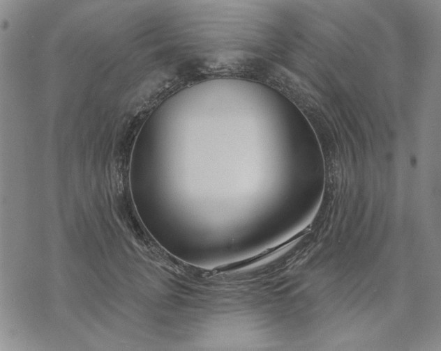 X0000071820751200607141635