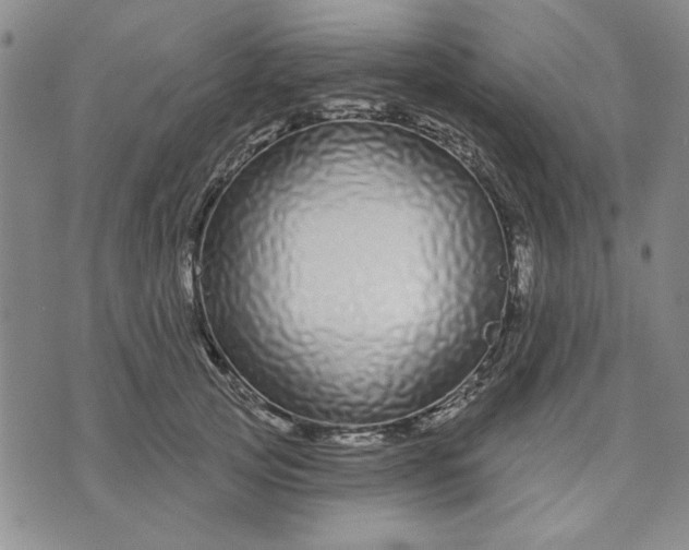 X0000071820753200607141635