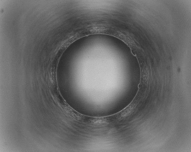 X0000071820755200607141635