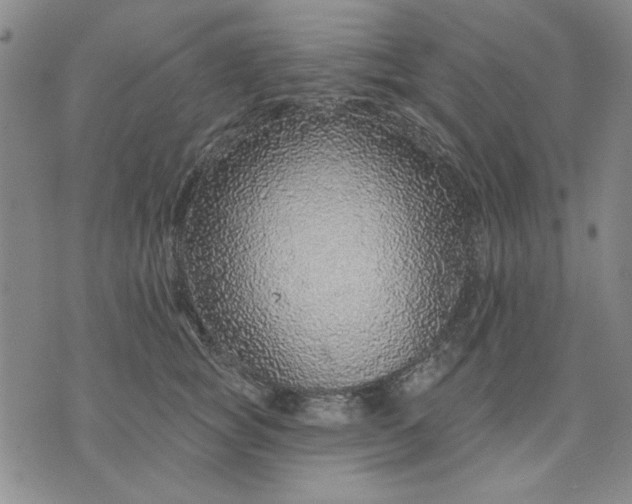 X0000071820757200607141635