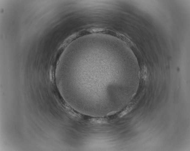 X0000071820763200607141635