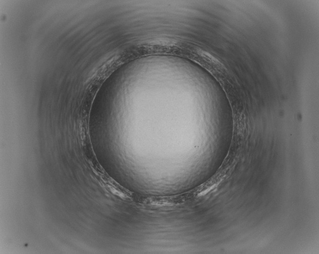 X0000071820774200607141634