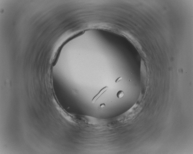 X0000071820816200607141634