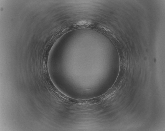 X0000071820818200607141633