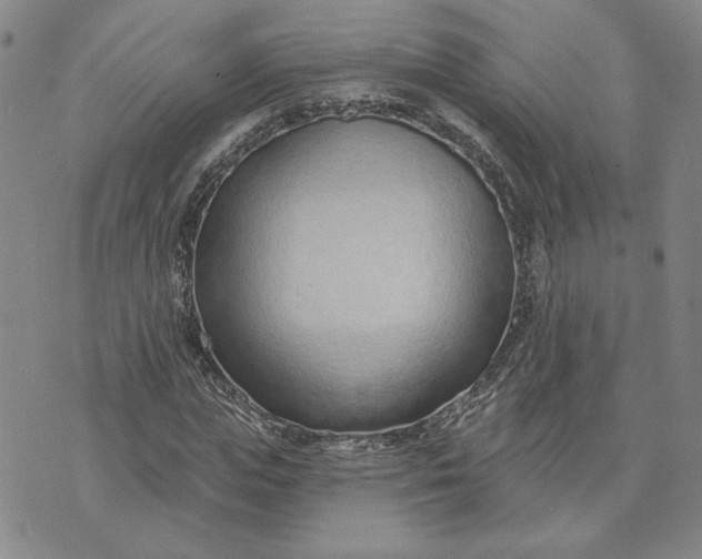 X0000071820823200607141633