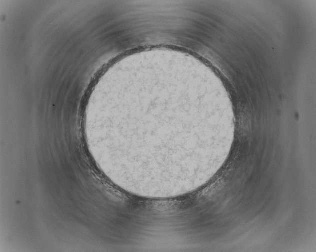 X0000071820832200607141633