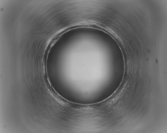 X0000071820838200607141633