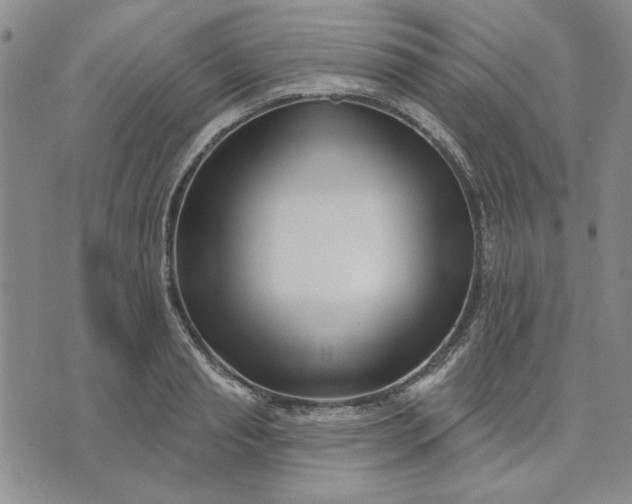 X0000071820845200607141633