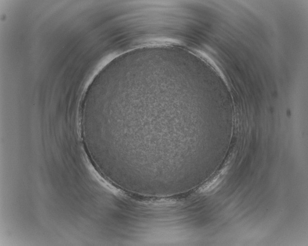 X0000071820851200607141633