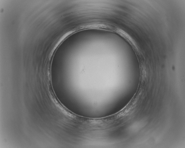X0000071820852200607141633