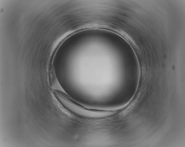 X0000071820854200607141633