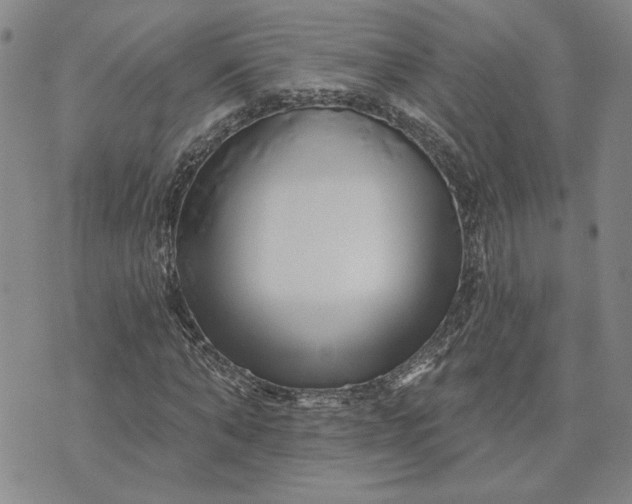 X0000071820870200607141633