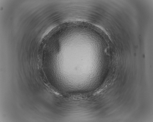 X0000071820871200607141633
