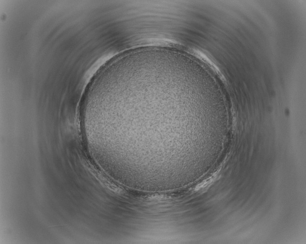 X0000071820883200607141632