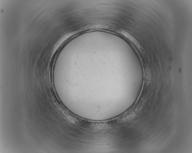 X0000071820886200607141632