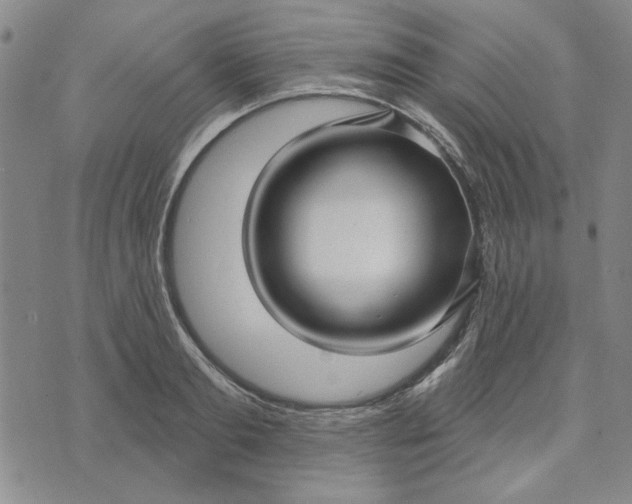 X0000071820893200607141632