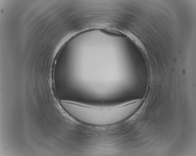 X0000071820904200607141632