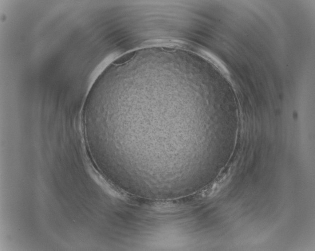 X0000071820907200607141632