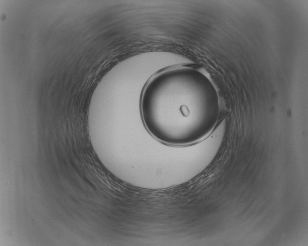 X0000071820916200607141631