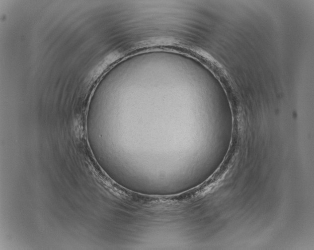 X0000071820929200607141631
