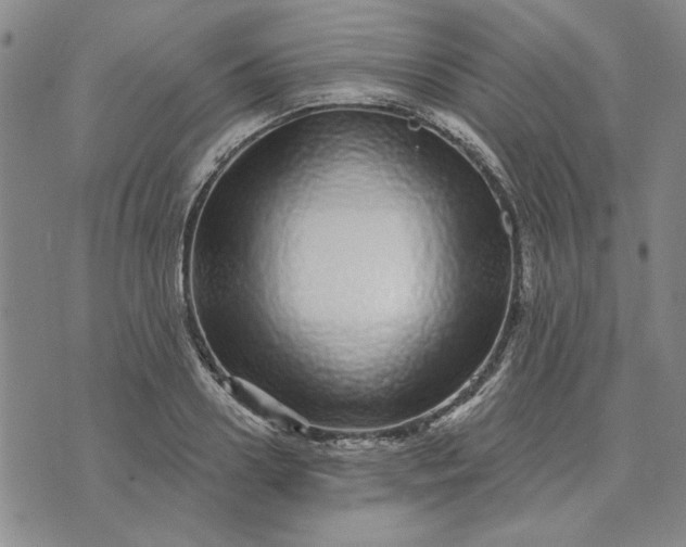 X0000071820938200607141632