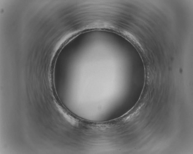 X0000071820942200607141632