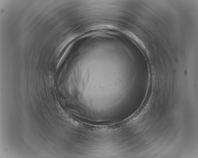 X0000071820945200607141632