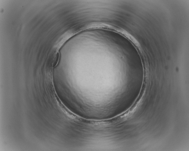 X0000071820953200607141632
