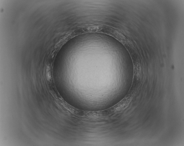 X0000071820962200607141631