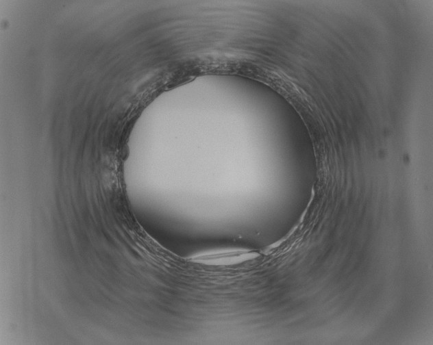 X0000071820964200607141631