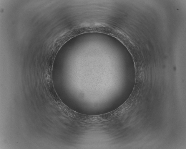 X0000071820966200607141631