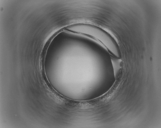 X0000071820983200607141631