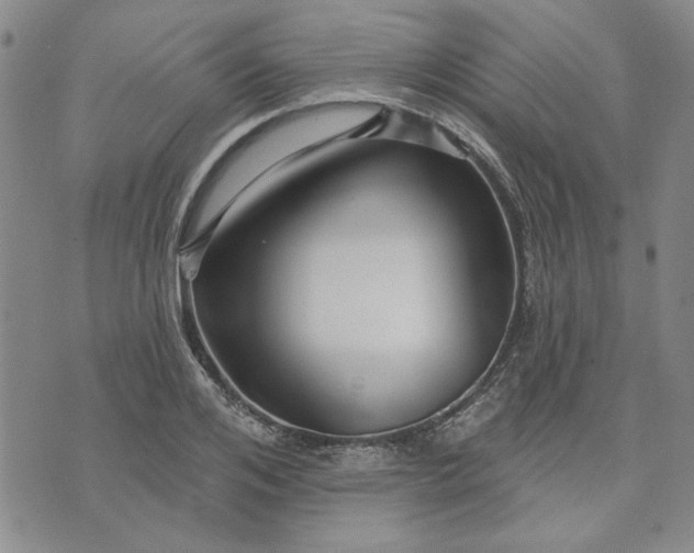 X0000071820984200607141631