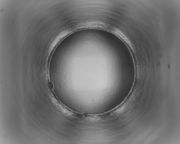 X0000071820994200607141631