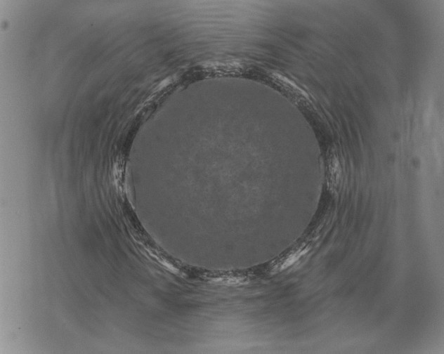 X0000071821010200607141630