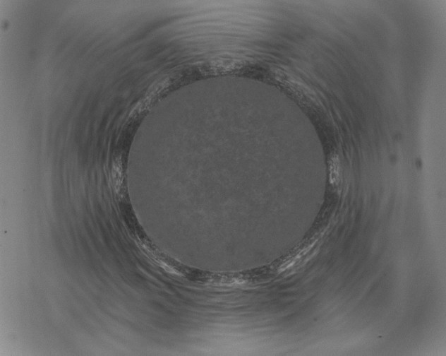 X0000071821011200607141630