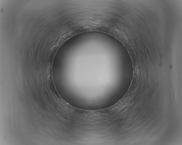 X0000071821012200607141630