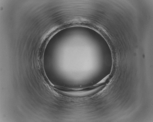 X0000071821018200607141630