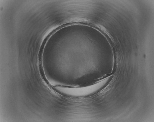 X0000071821024200607141630