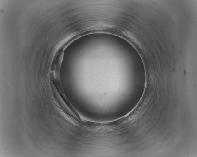 X0000071821026200607141630