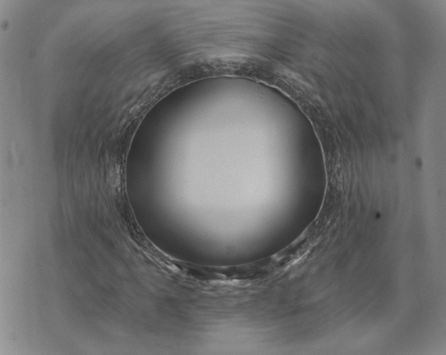 X0000071821061200607141630