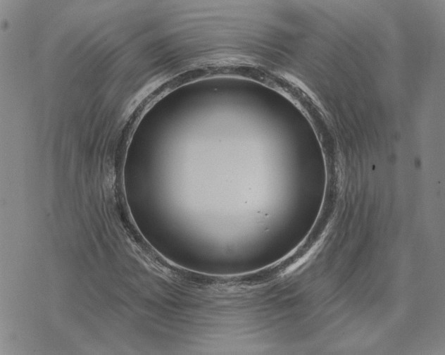 X0000071821065200607141630