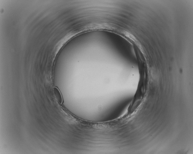 X0000071821089200607141629