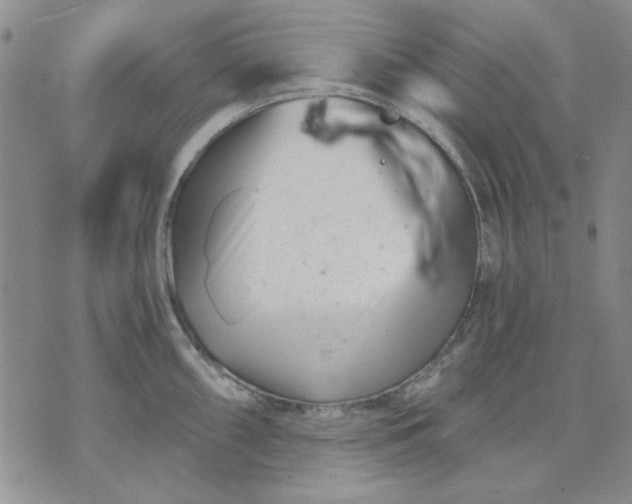 X0000071821098200607141629