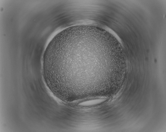 X0000071821099200607141629