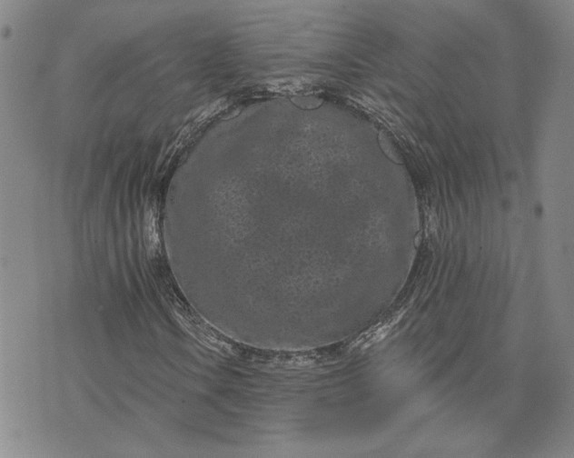 X0000071821106200607141628